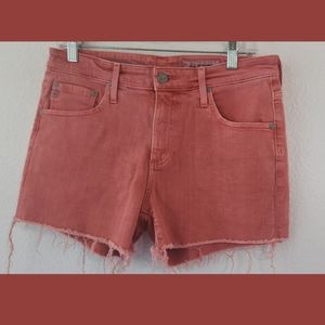 AG Adriano Goldschmied The Hailey Ex Boyfriend Cutoff Shorts 28R